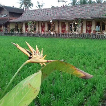 Rice Padi Artha Hotel Ubud  Exterior photo
