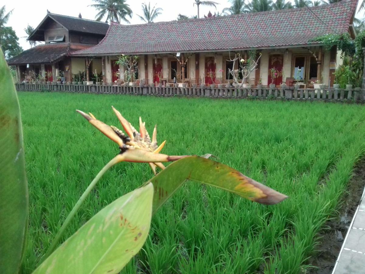 Rice Padi Artha Hotel Ubud  Exterior photo